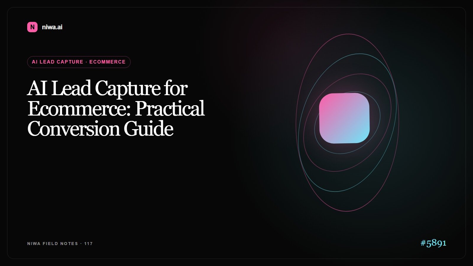 AI Lead Capture for Ecommerce: Practical Conversion Guide — Niwa AI visual guide
