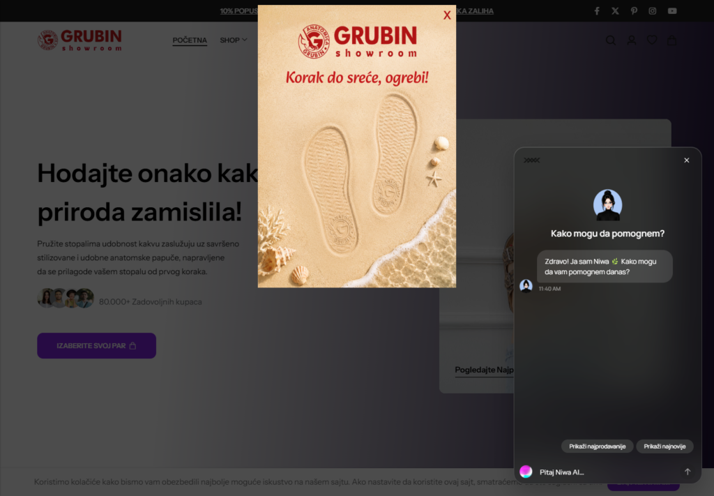 AI Sales Agent for WooCommerce: 7 Objections to Handle — Niwa AI live website example